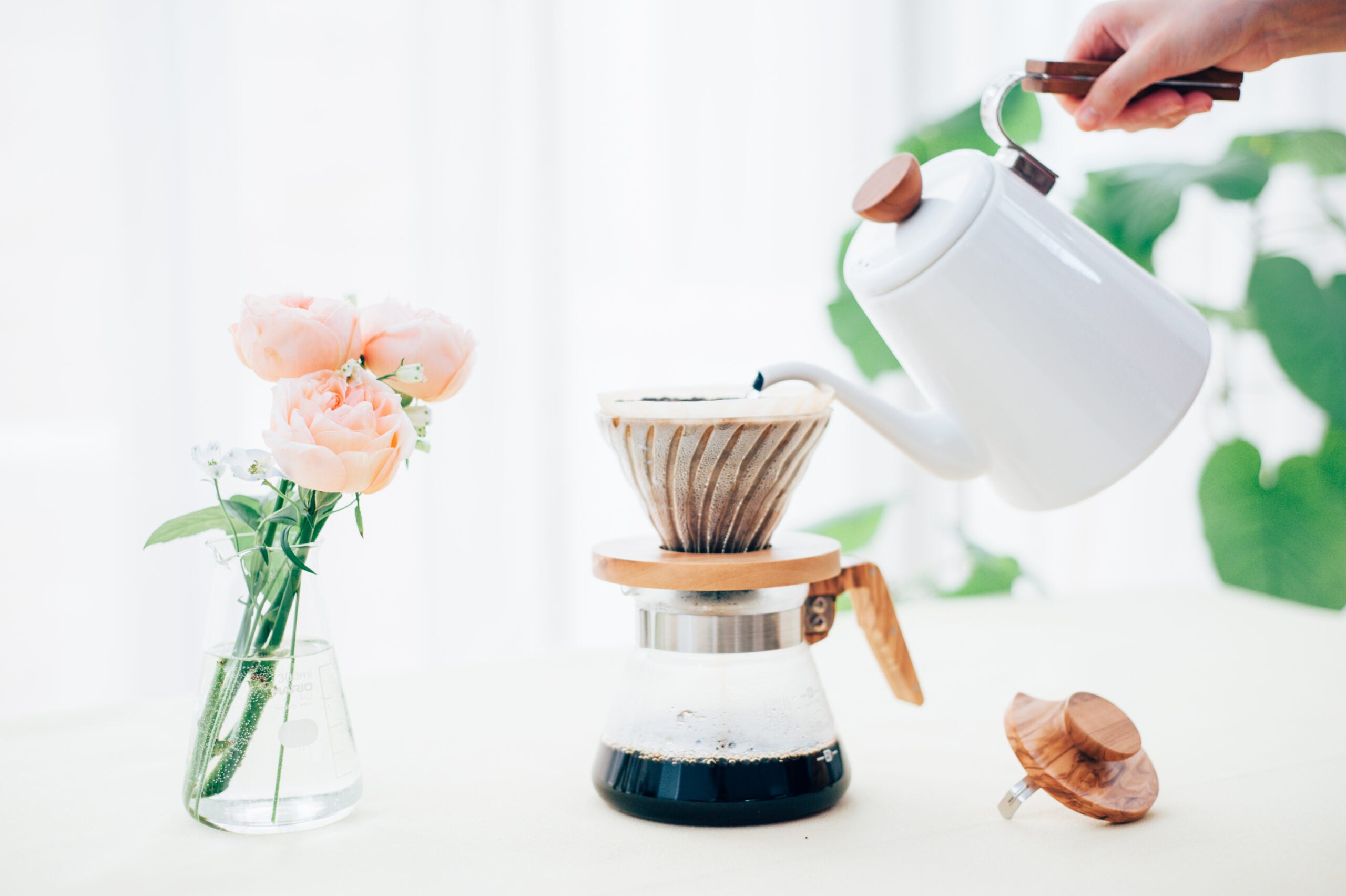 Hario V60 Oliventre