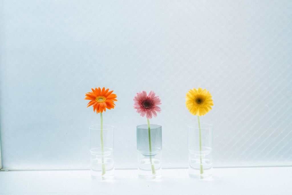 Hario Glass flower vase