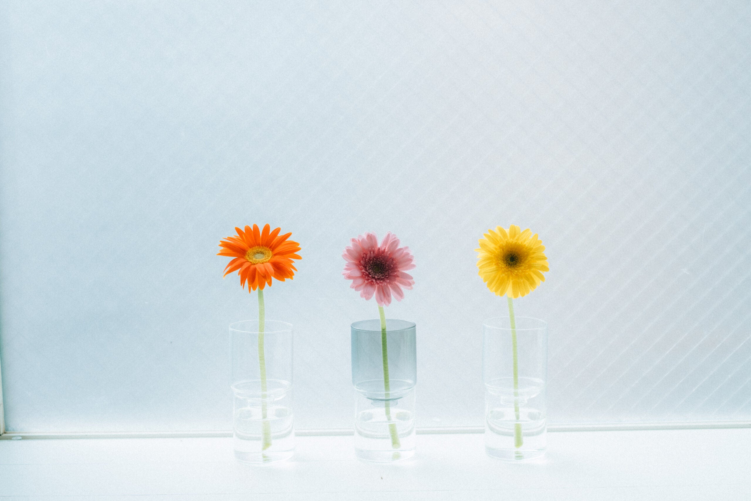 Hario Glass flower vase