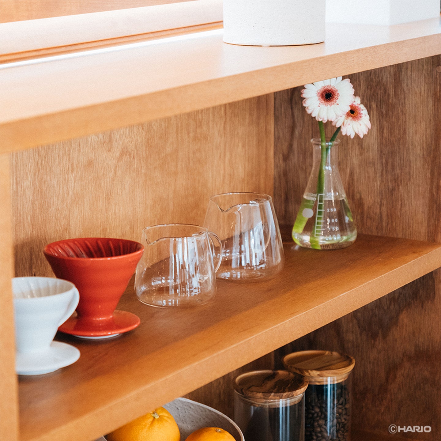 Hario Barista Server